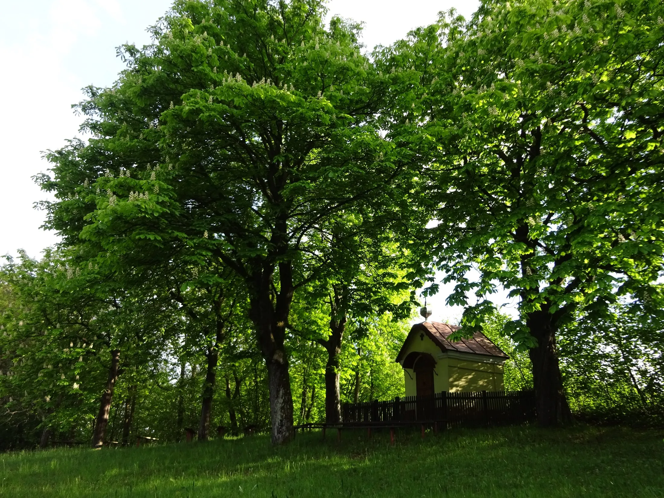 Hložeckým masivem po stopách Tatarů a Kuruců