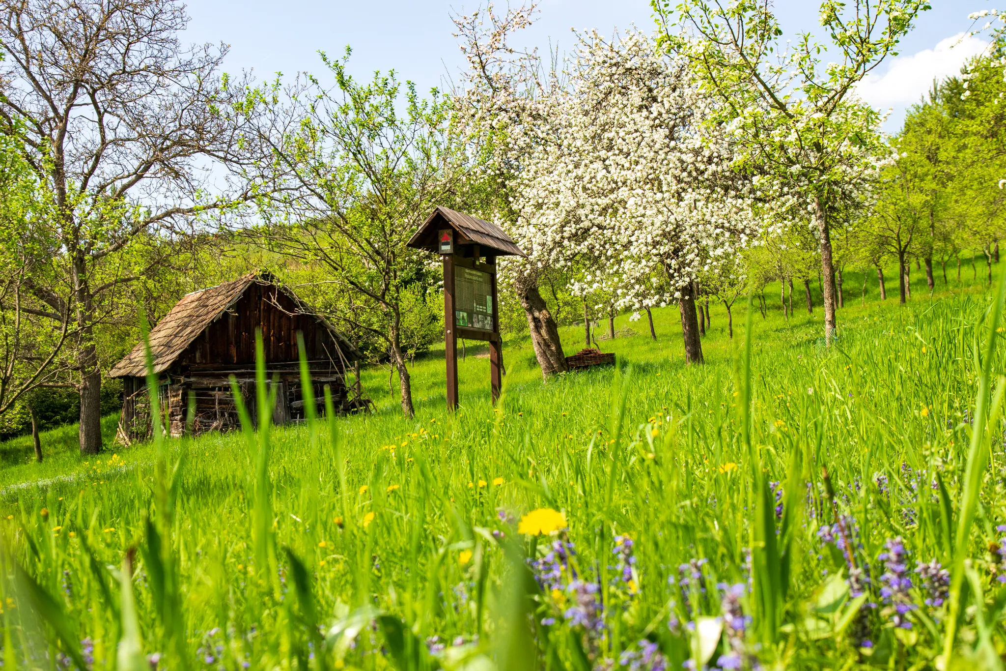 Na kole dnem budoucí přehrady