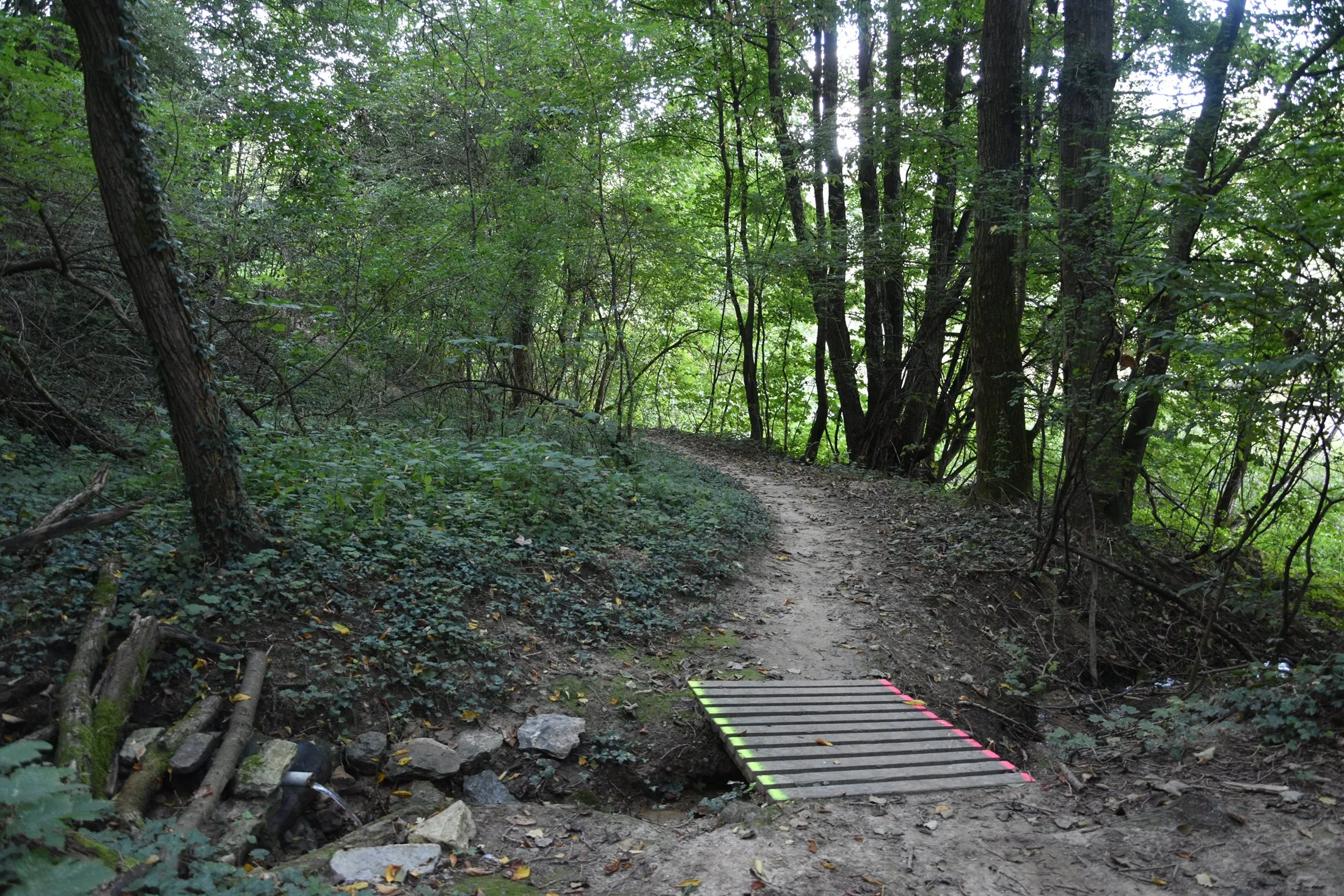 Na kole na Antonstál a rozhľadňu Malý Jelenec