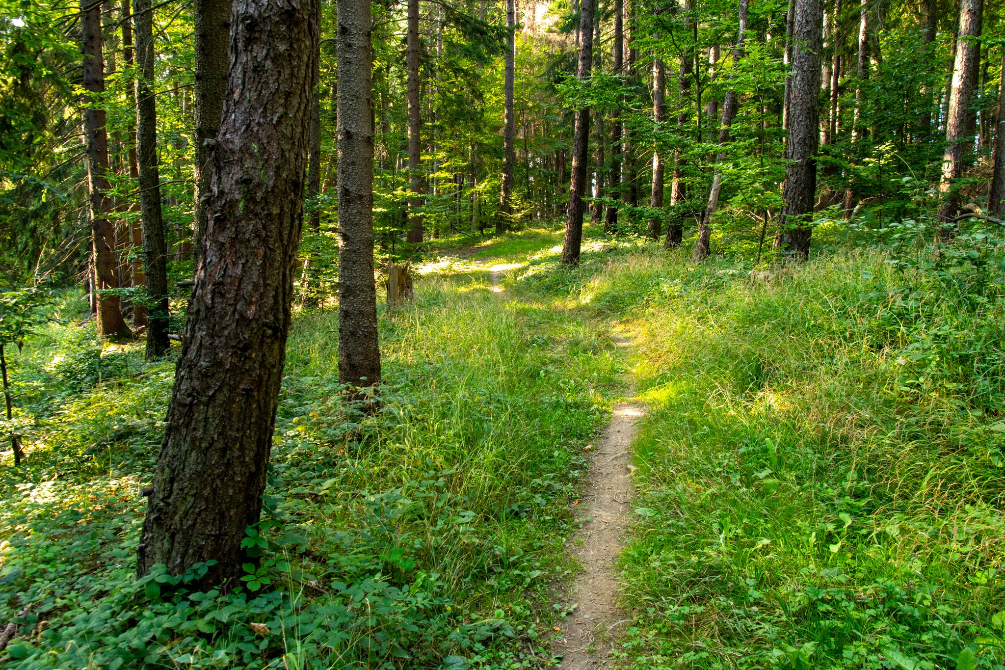 Na kole přes hranice z Hostětína do Súče