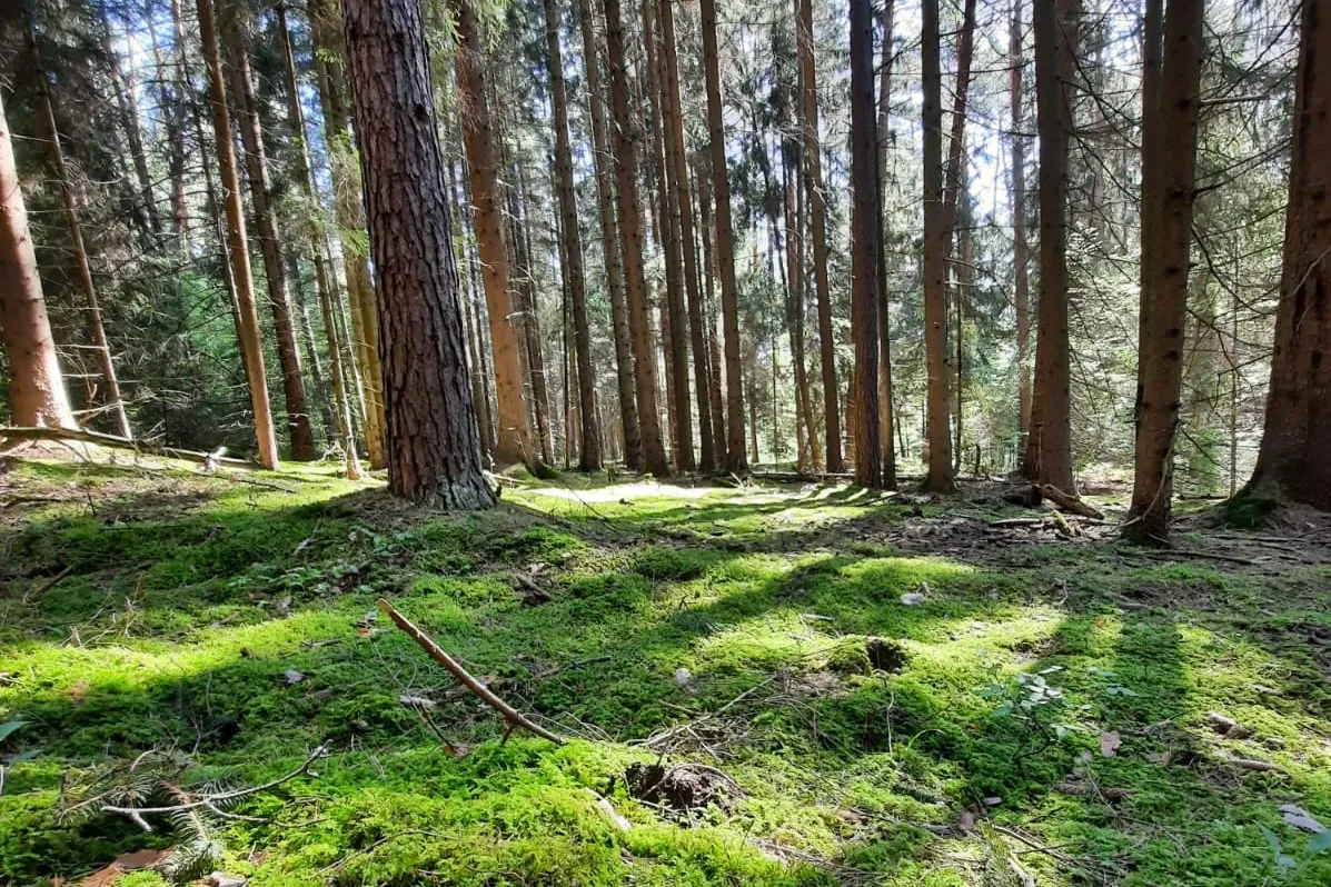Z Valašských Klobouk na Ploštinu