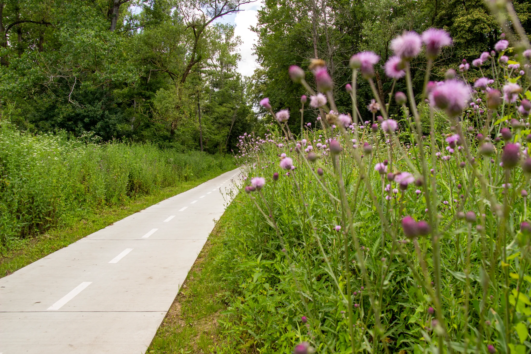 Na kole do Trenčína