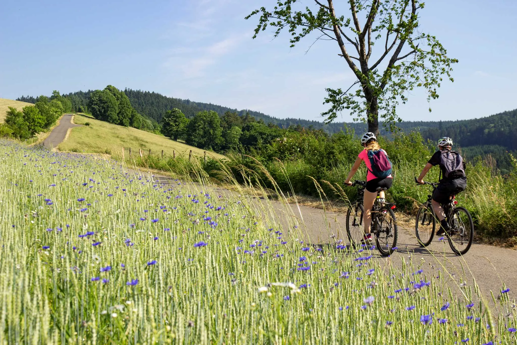 Na kole z Luhačovic na tajemný Klášťov
