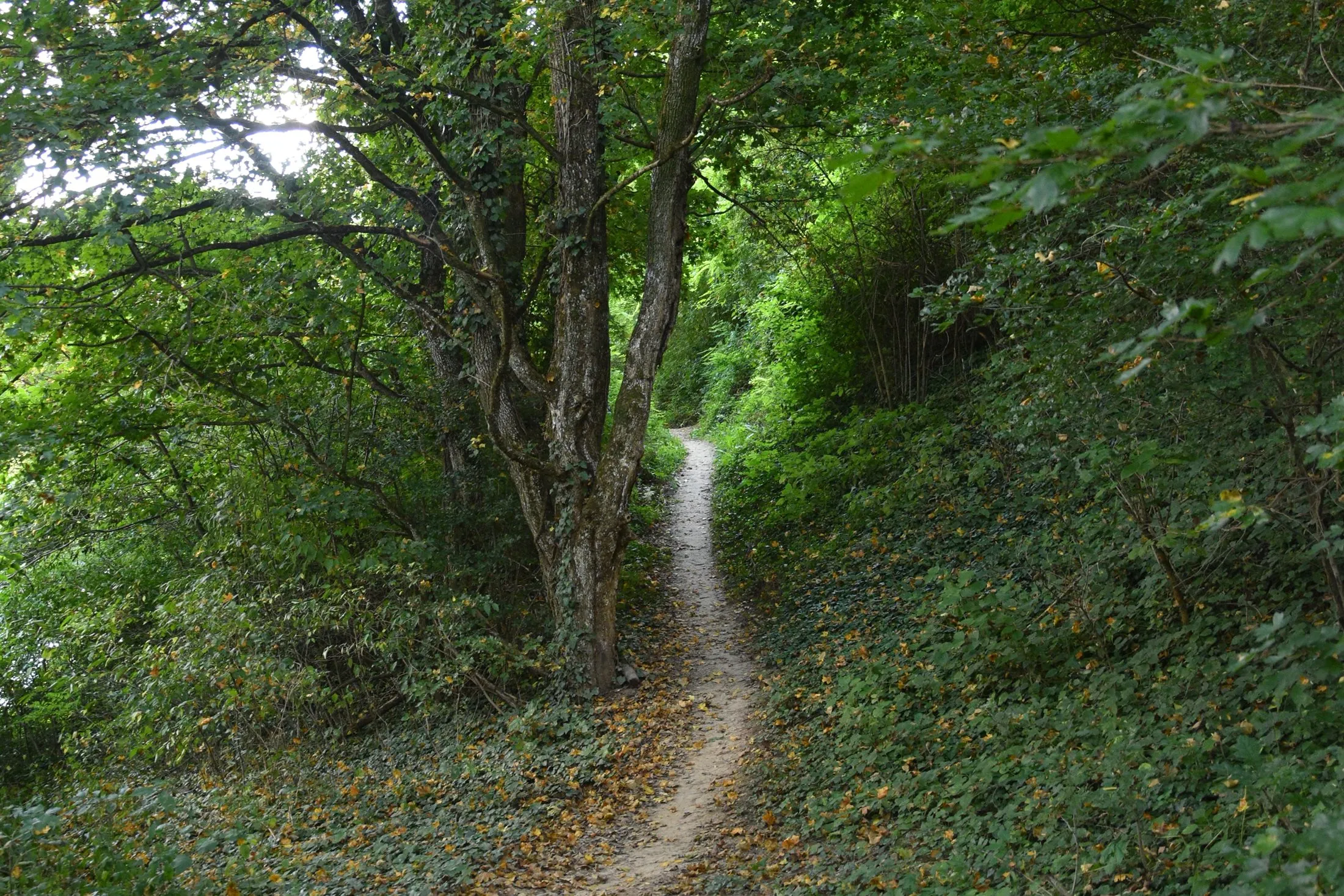 Na kole na Antonstál a rozhľadňu Malý Jelenec
