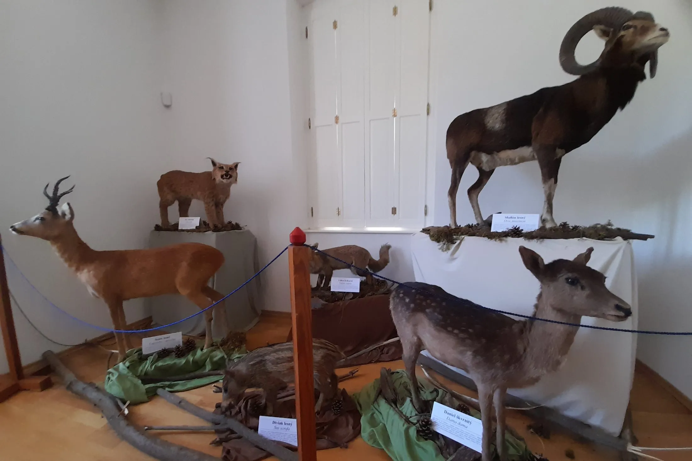 Múzeum regiónu Bielych Karpát