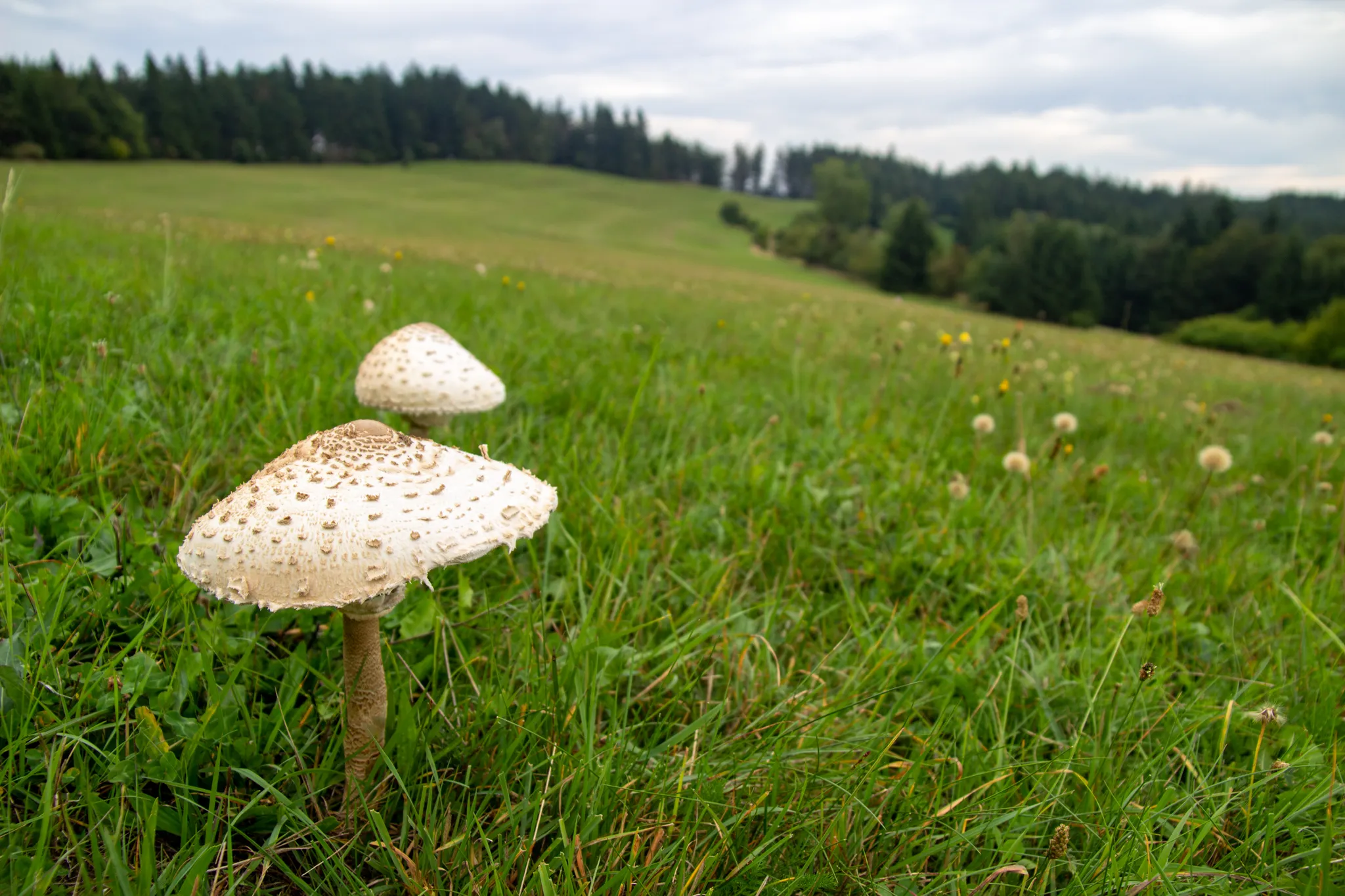 Na kole po stopách války