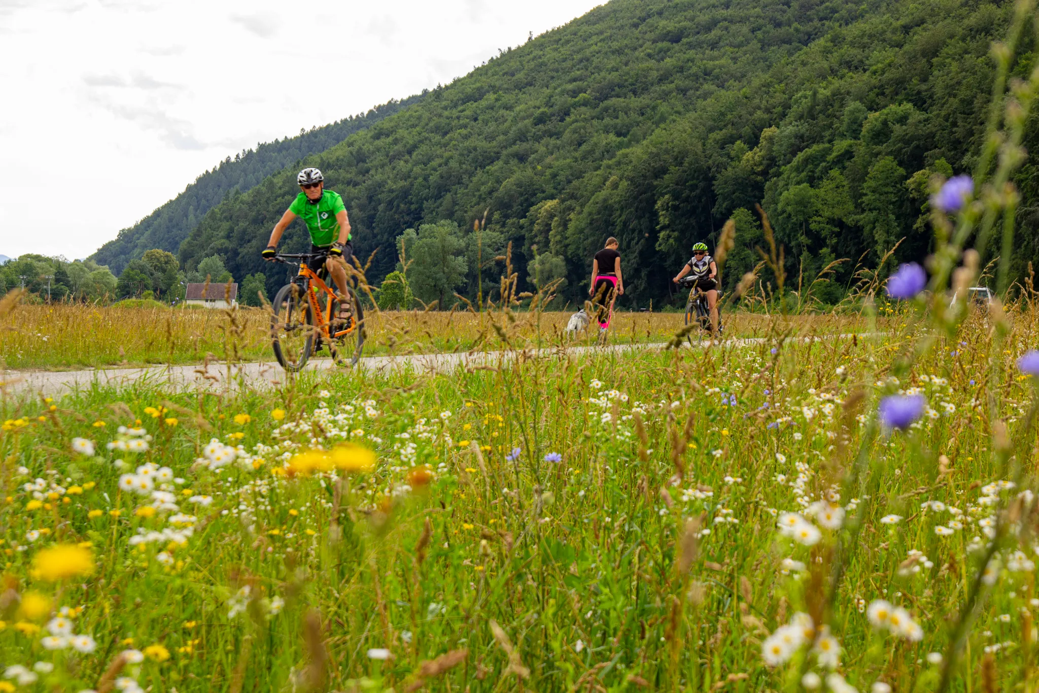 Na kole do Trenčína