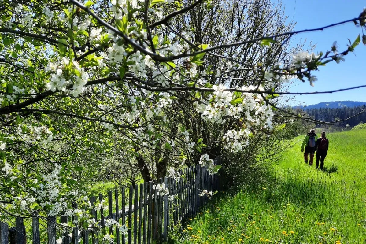 Z Valašských Klobouk na Ploštinu