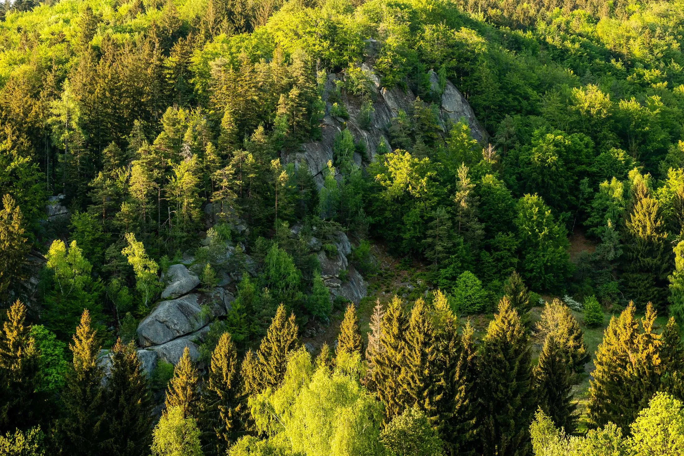 Kopcovitým terénem kolem Pulčínských skal