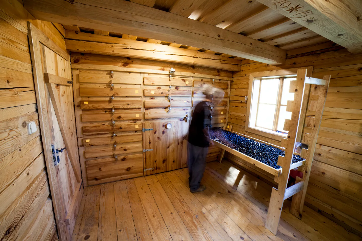 Putování po sušírnách ovoce