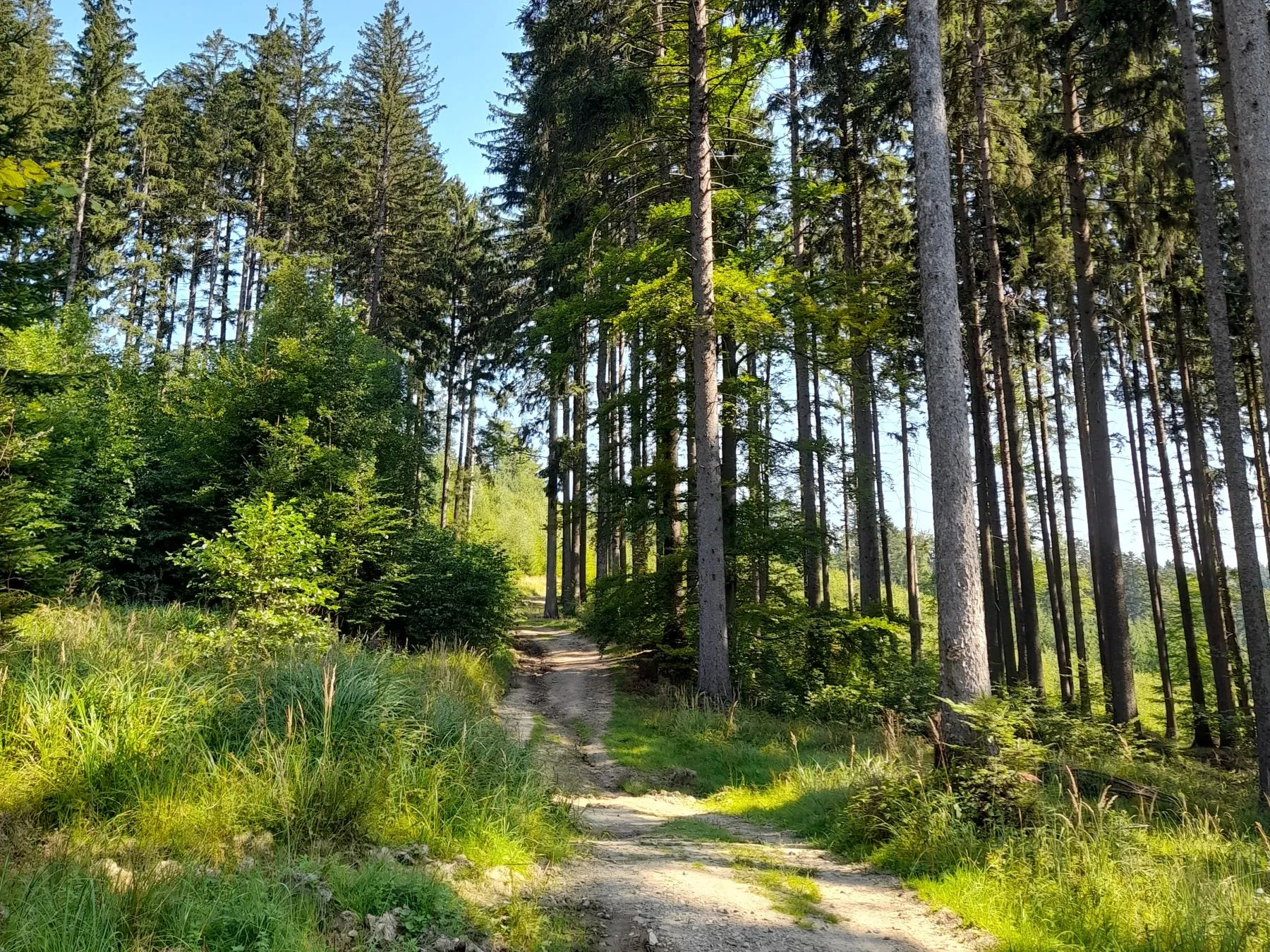 Z Ploštiny k prameni Vláry