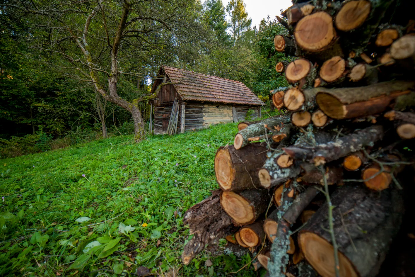 Putování po sušírnách ovoce