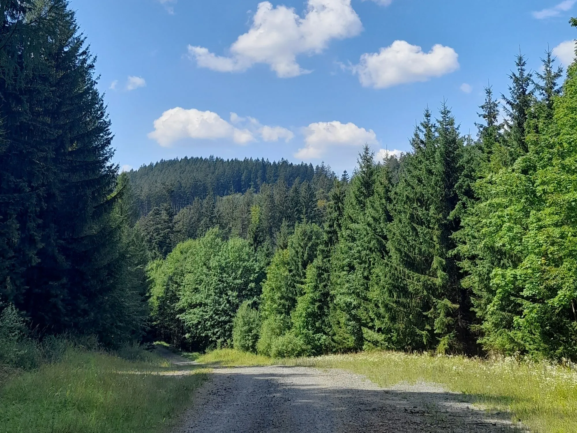 Z Ploštiny k prameni Vláry