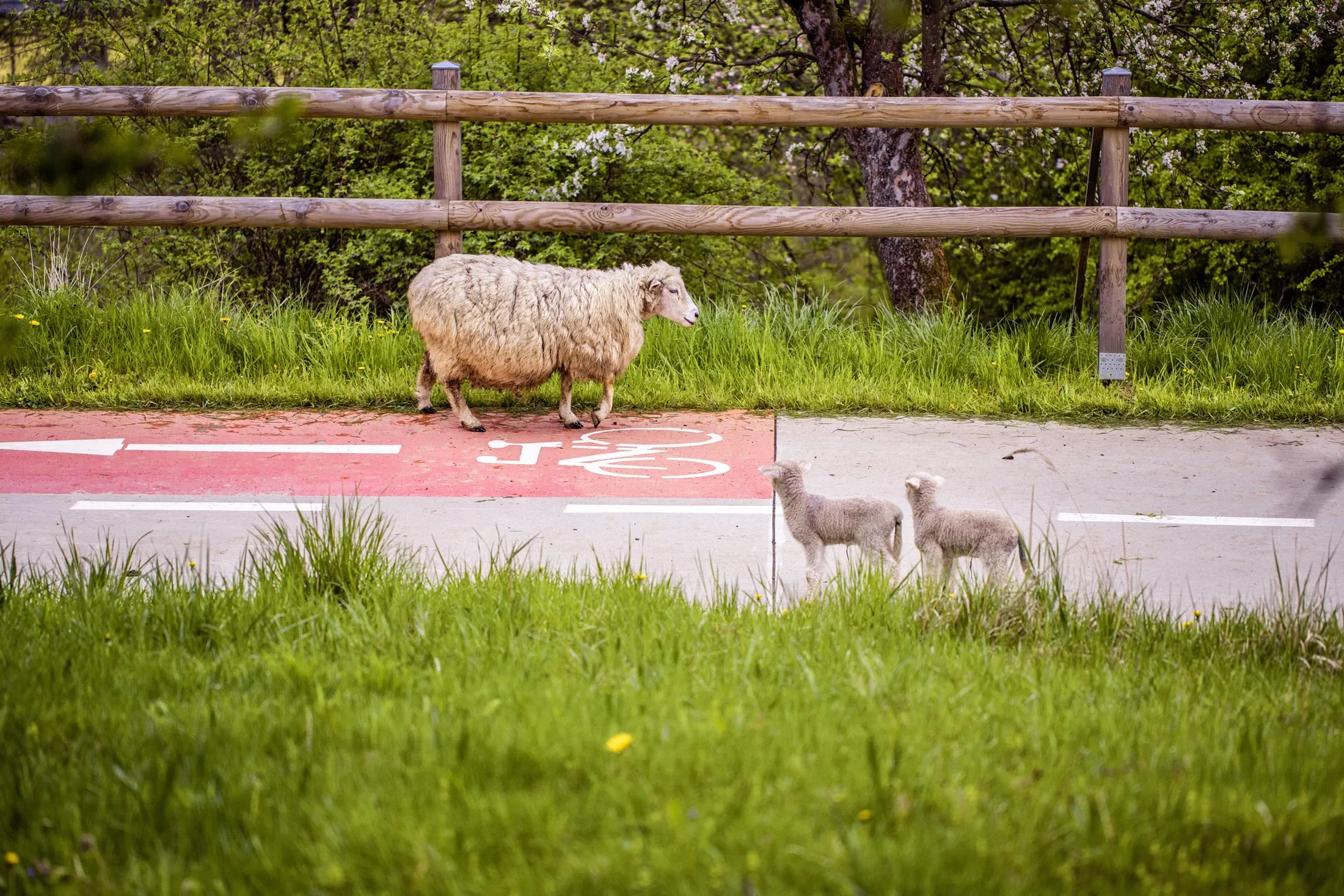 Cyklostezka Bevlava - úsek Valašské Klobouky - Svatý Štěpán