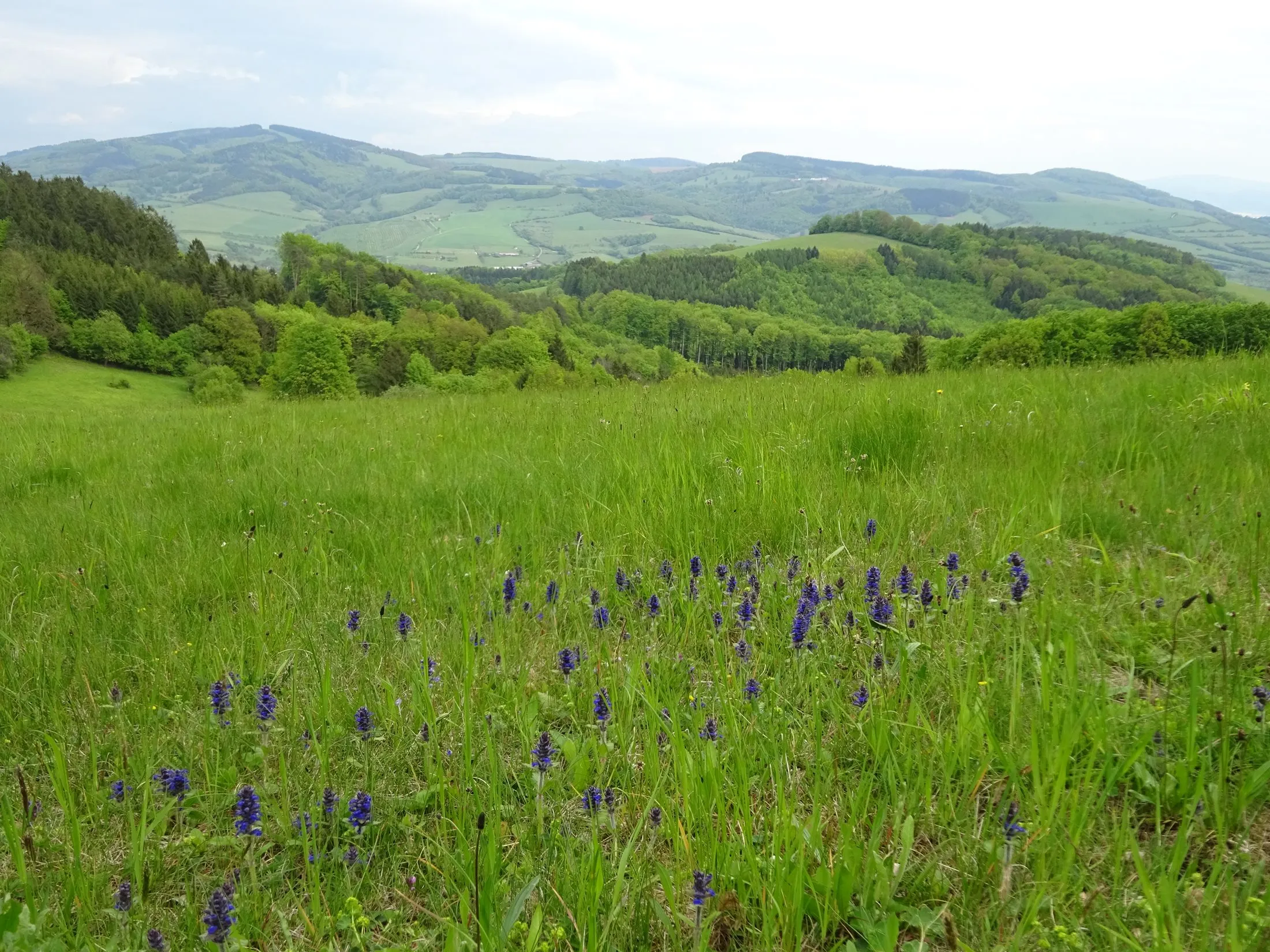 Hložeckým masivem po stopách Tatarů a Kuruců