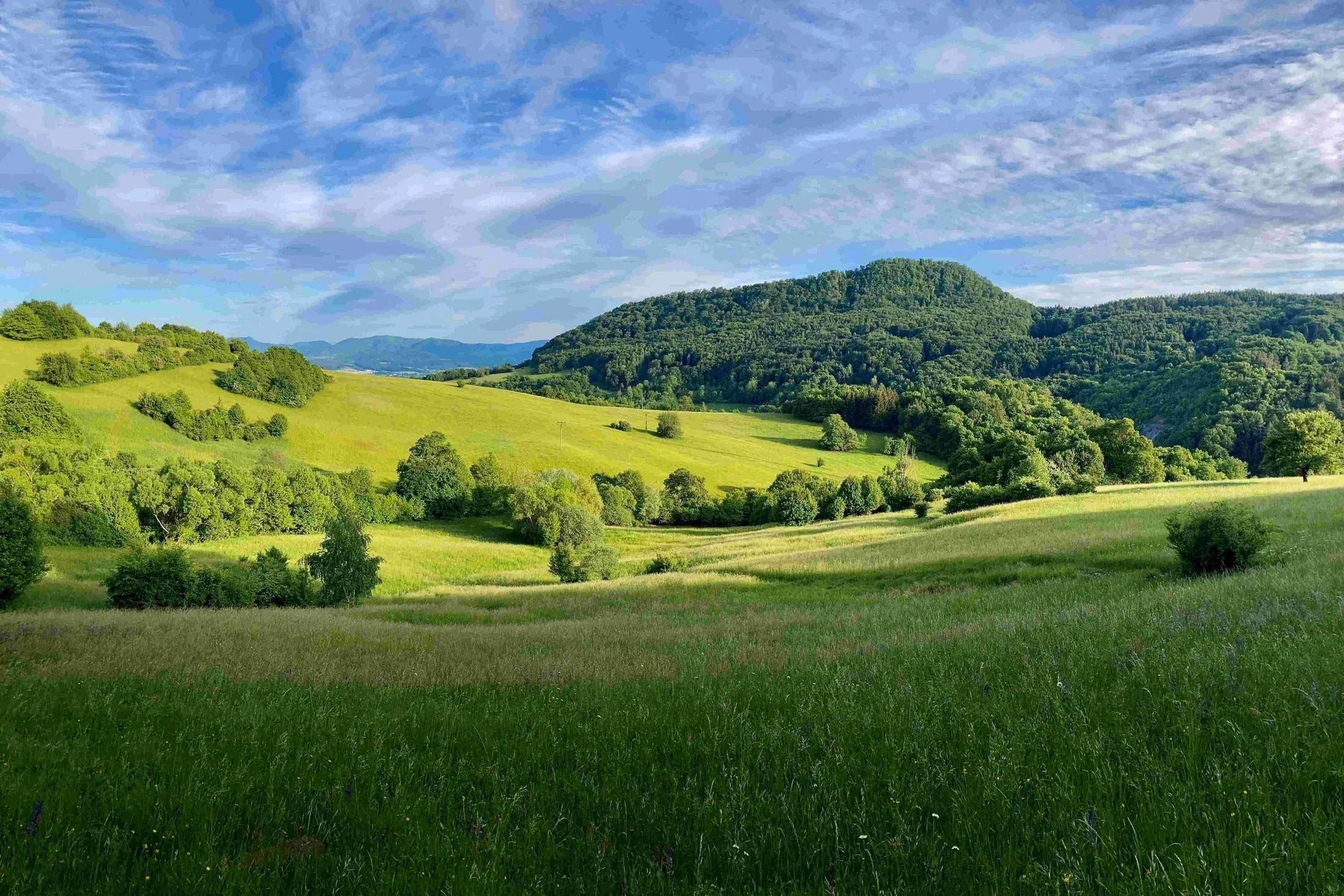 Vršatské bradlá 