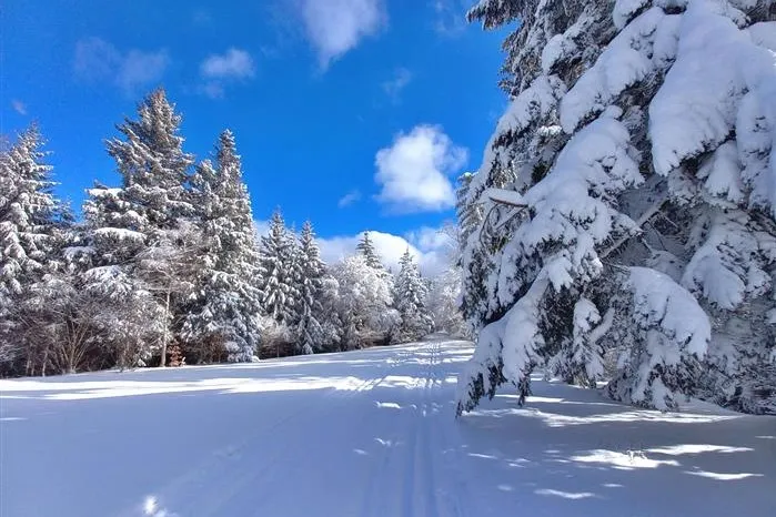 Lačnovská magistrála na běžkách