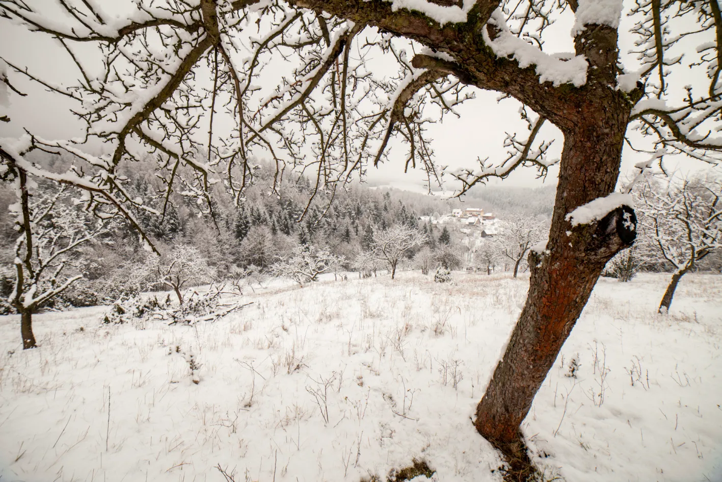 Študlovskými pasekami na vrchol Končitá