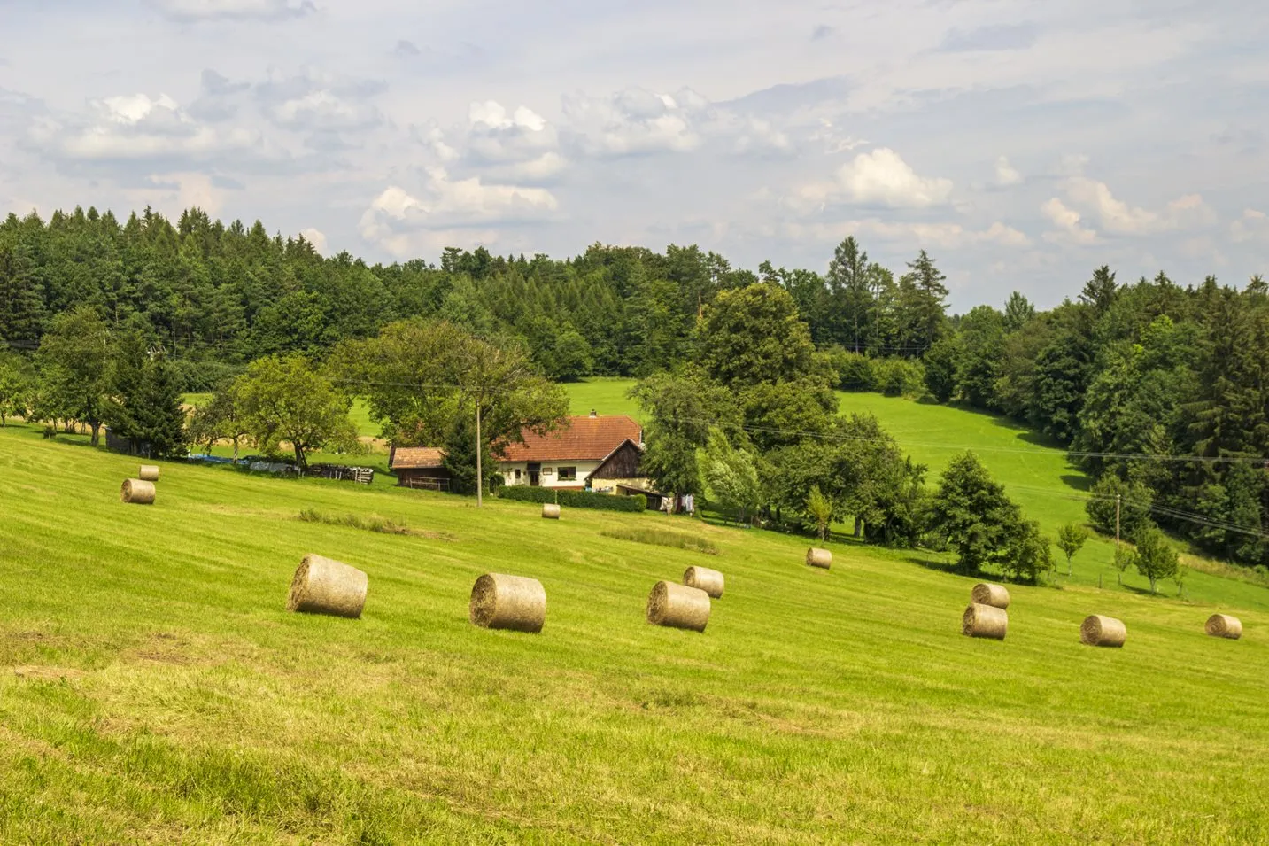 Na kole motýlími lukami