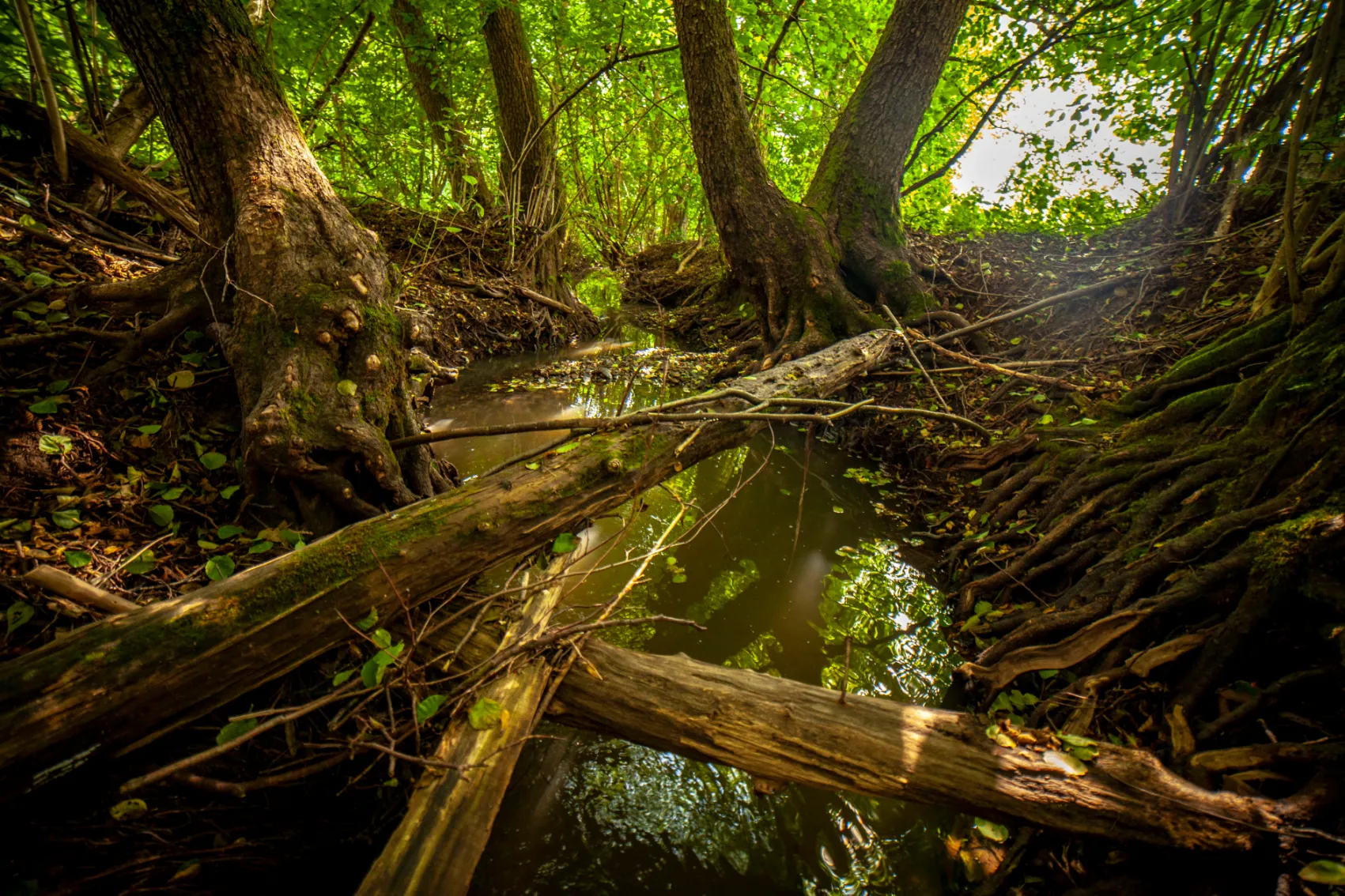 Za přírodní památkou Smolinka