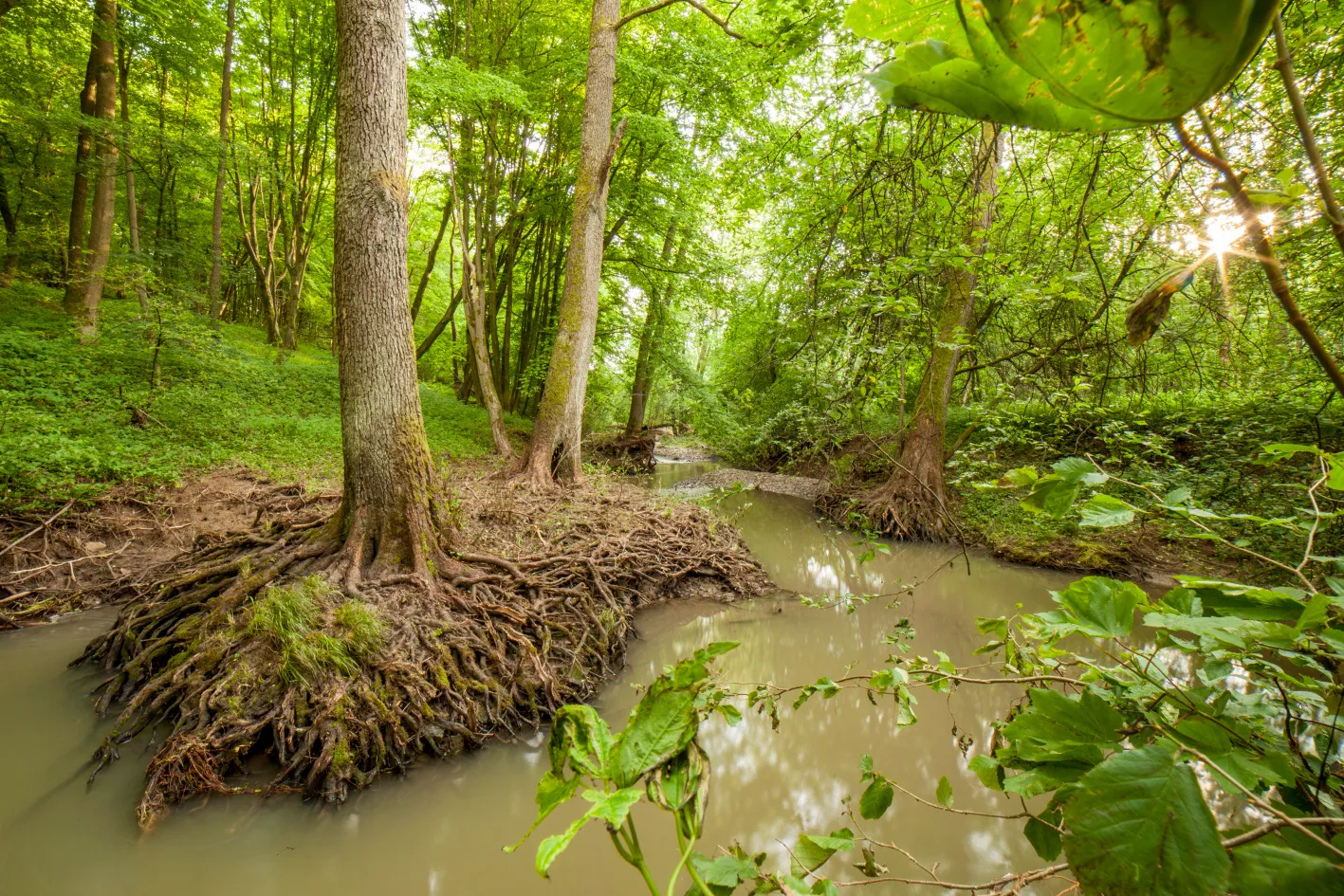 Do Vlachovic na dno přehrady