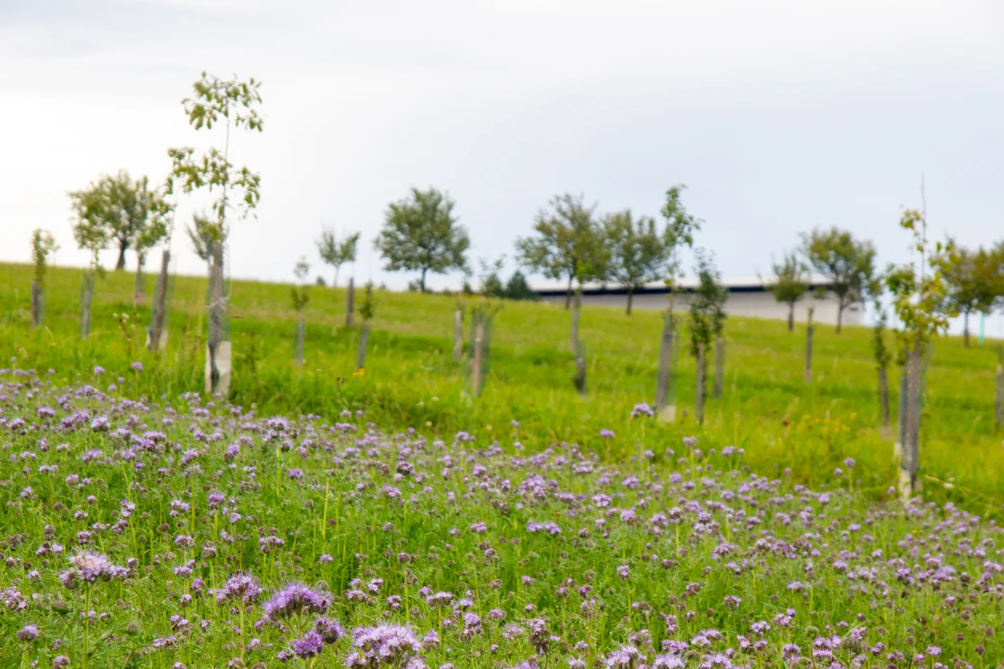 Na kole po stopách války