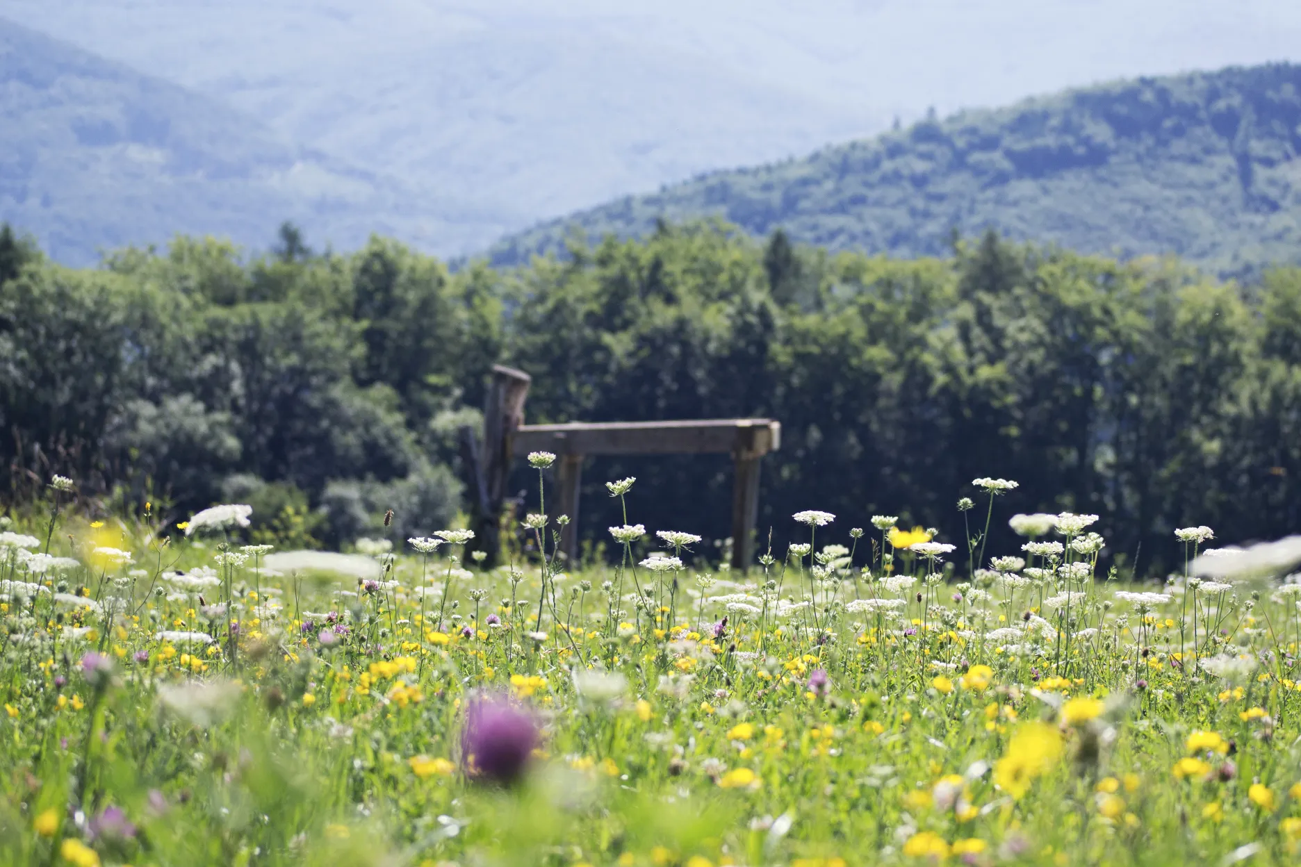 Čarovnou zemí Gabry a Málinky