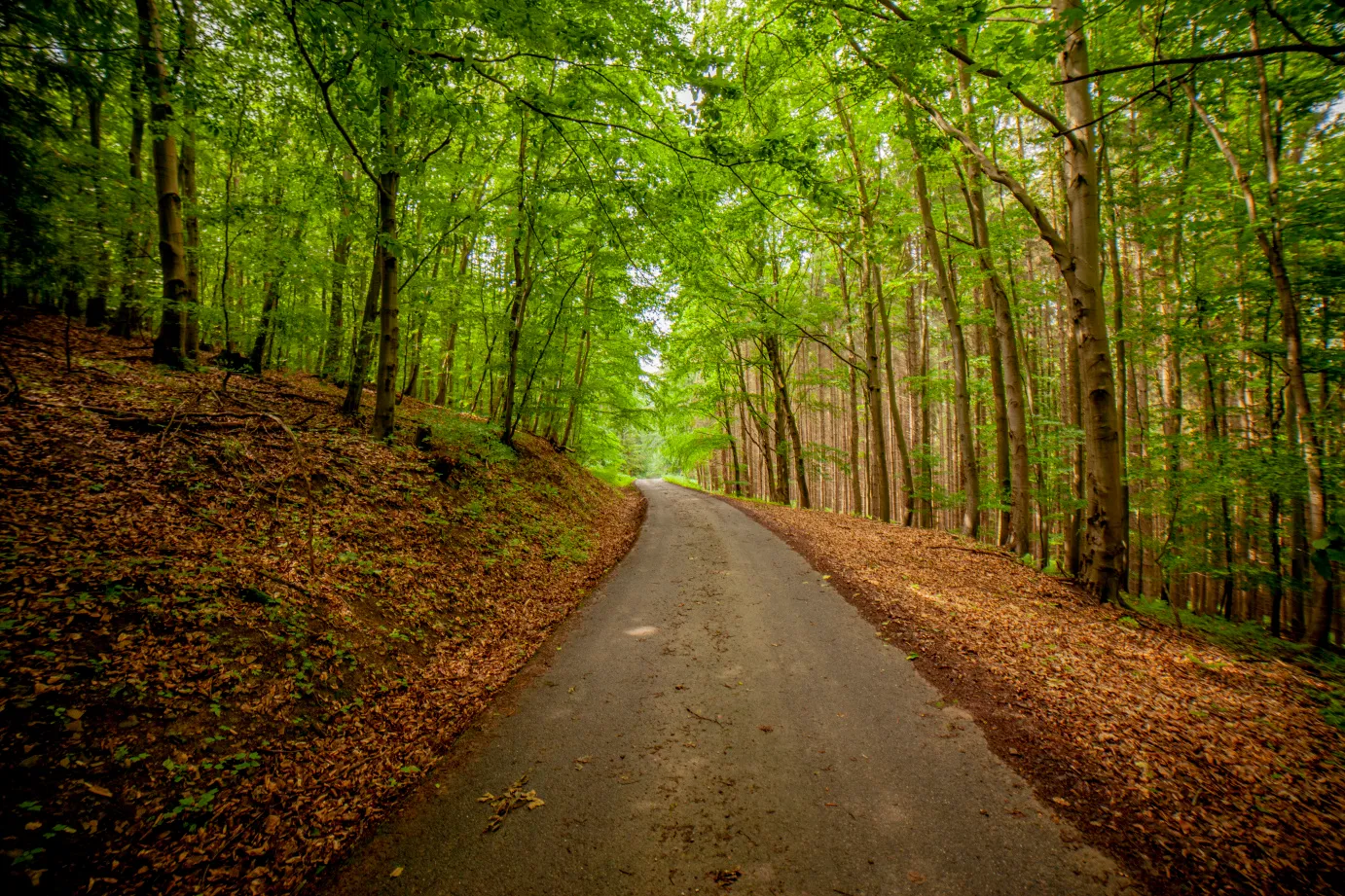 Na kole na Hrad Brumov