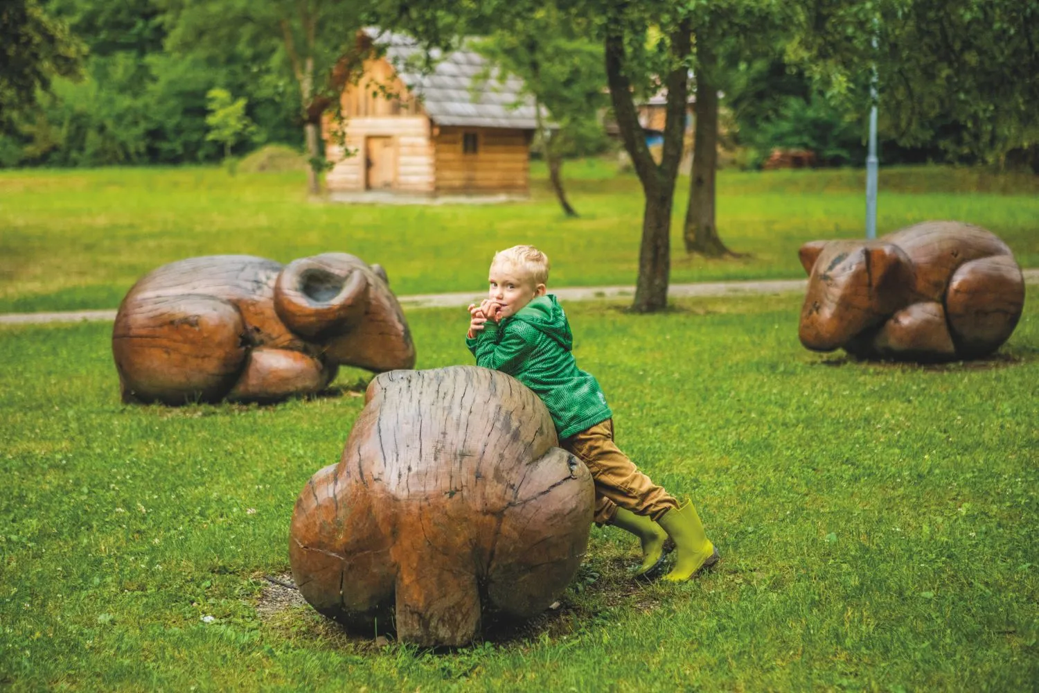 Ekopark Trhovisko