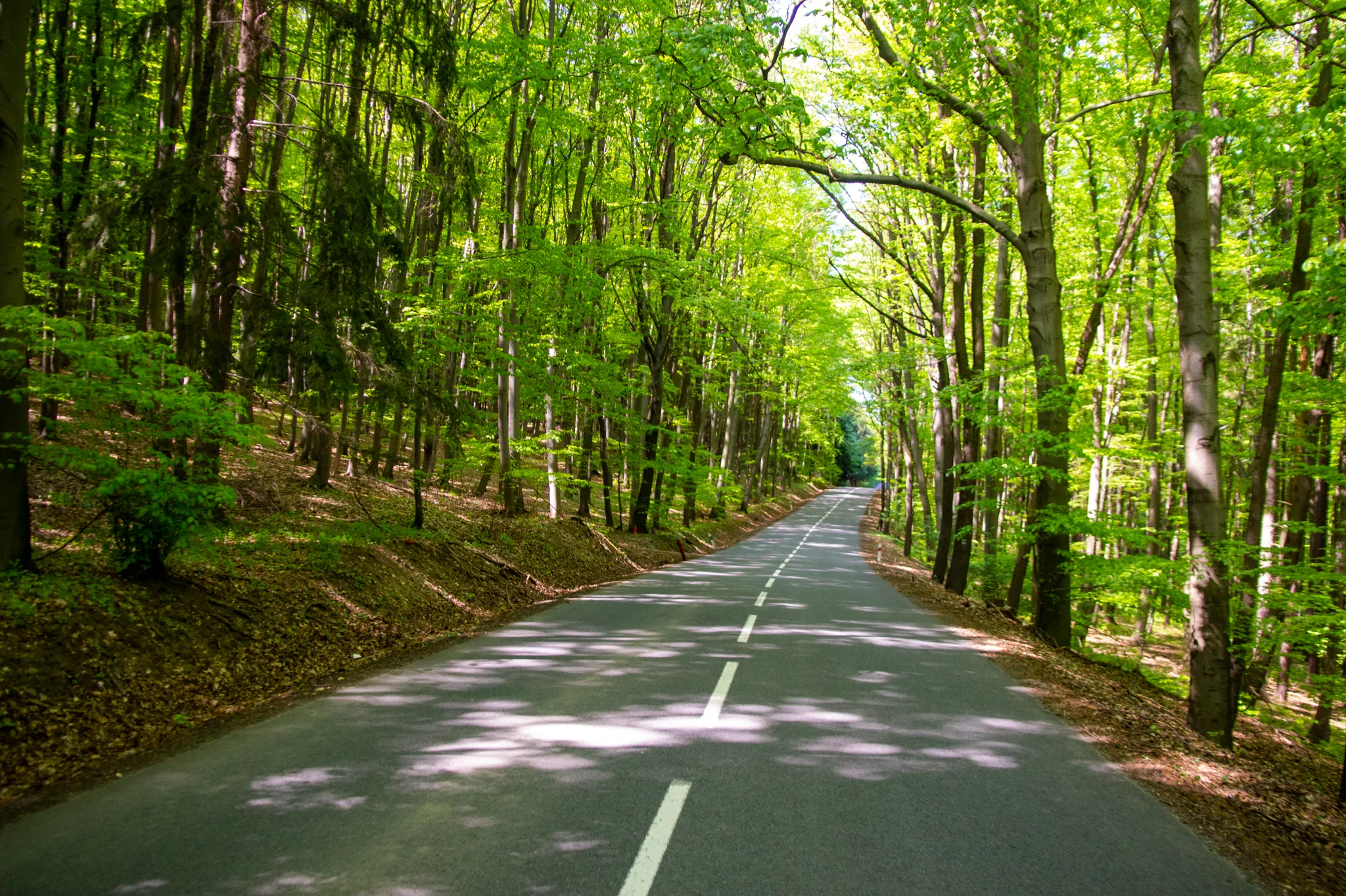 Na kole přes Slavičín a Loučku