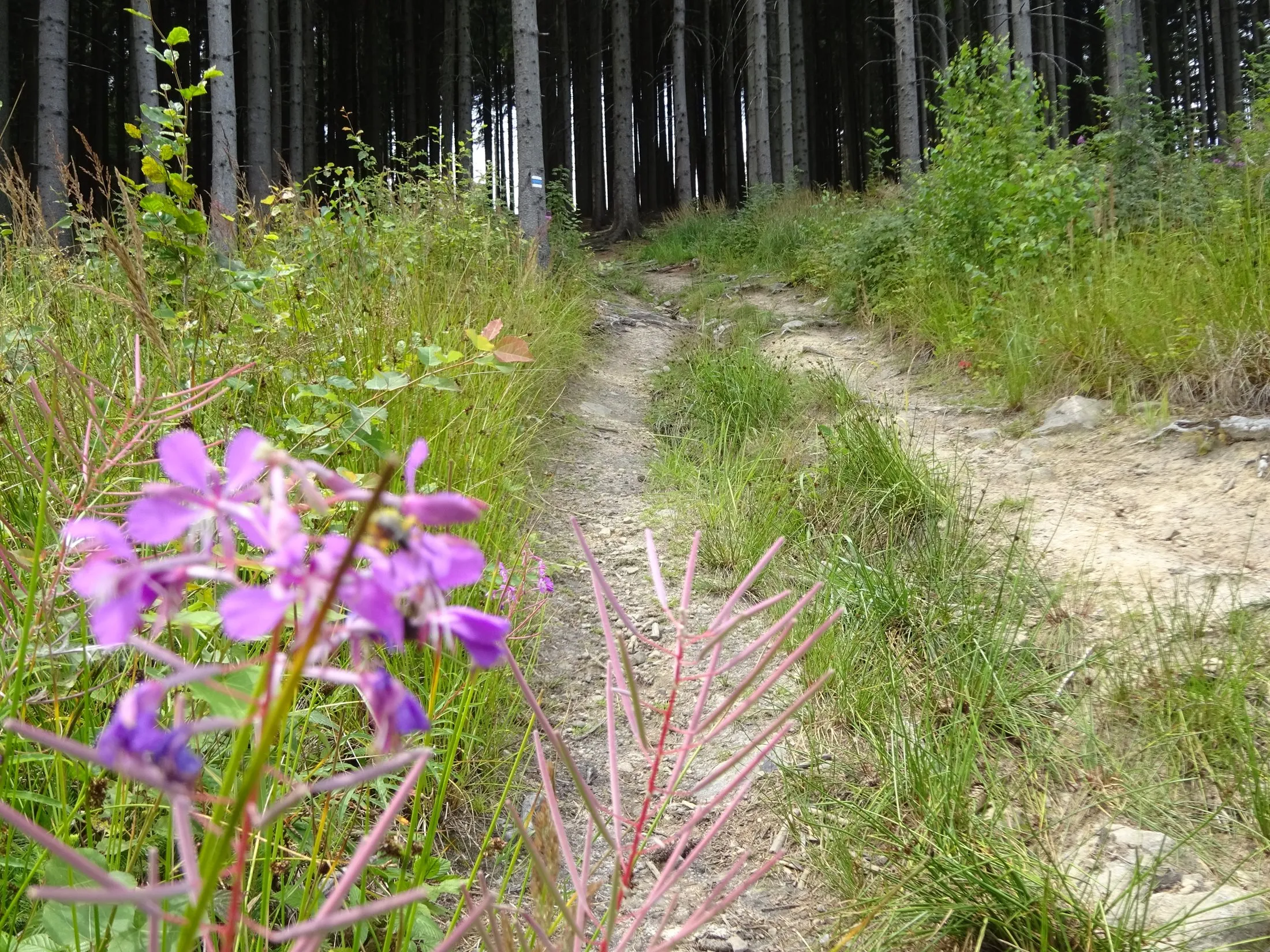 Na rozhlednu Doubrava