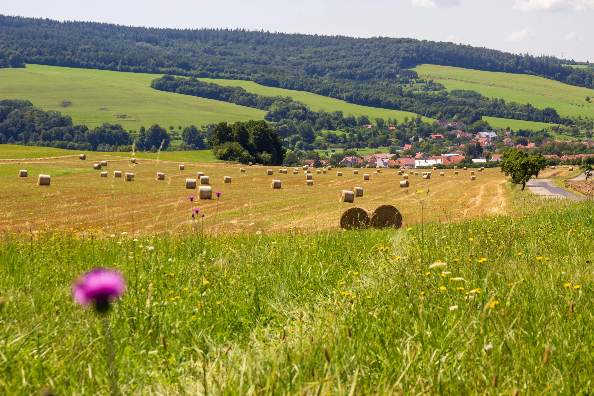 Na kole okolím Šanova