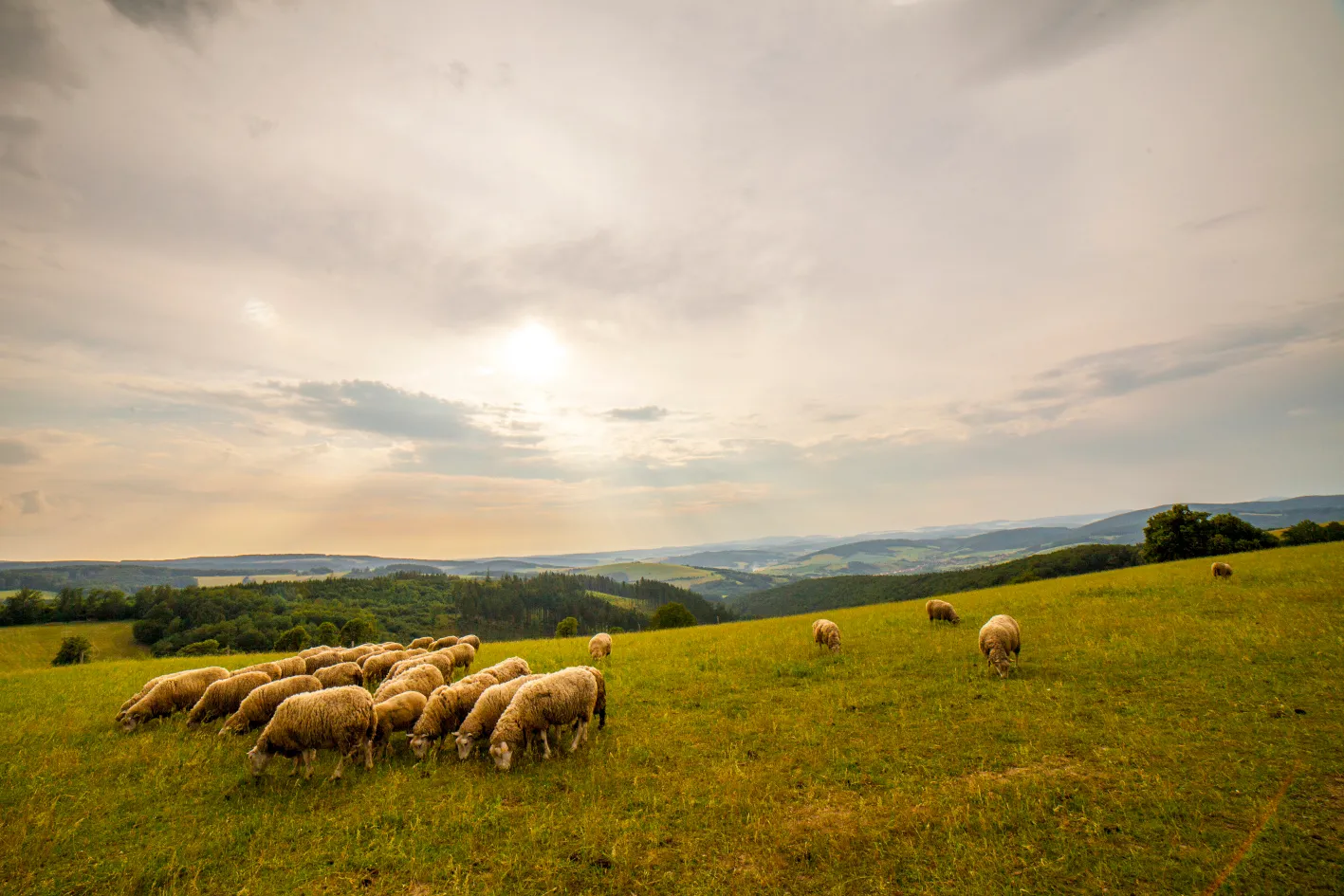 Čarovnou zemí Gabry a Málinky