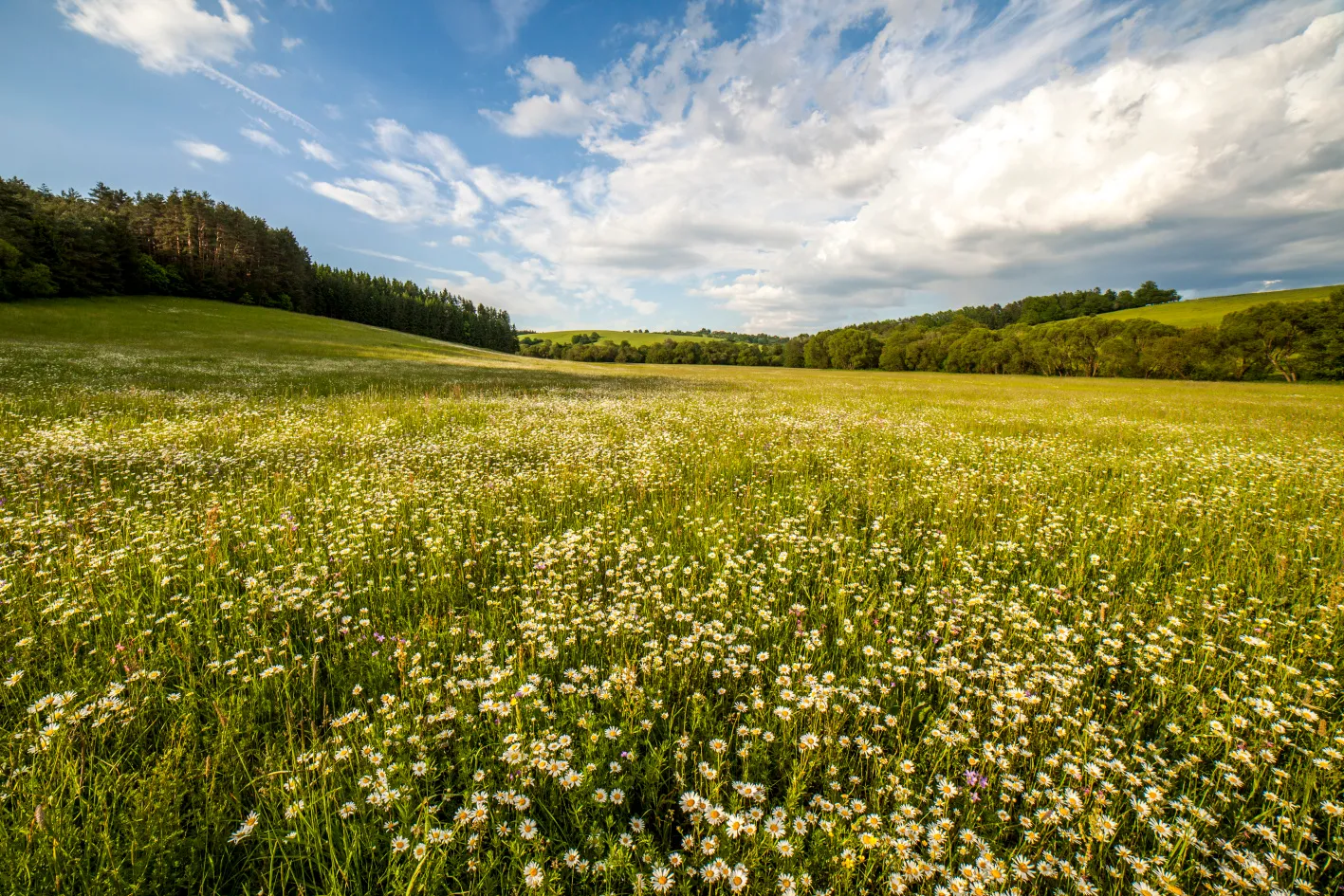 Do Vlachovic na dno přehrady