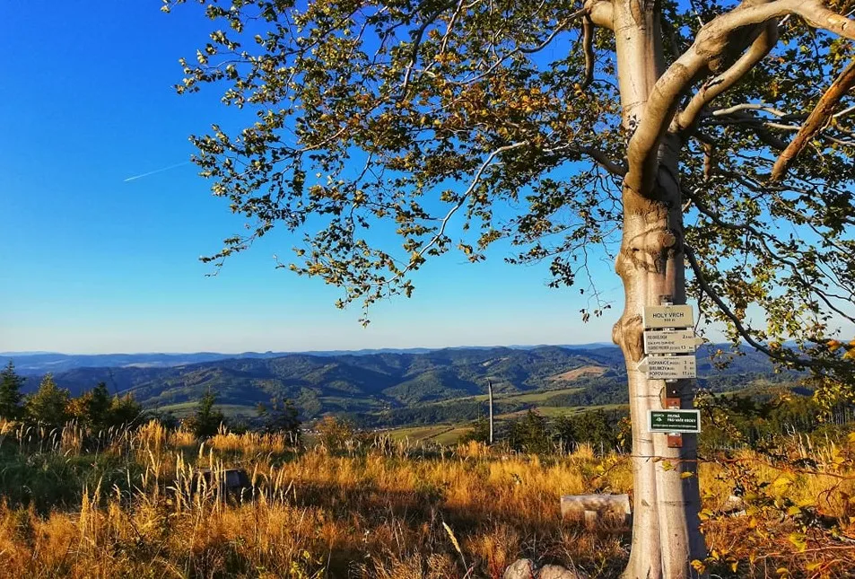 Z Brumova-Bylnice na Holý vrch