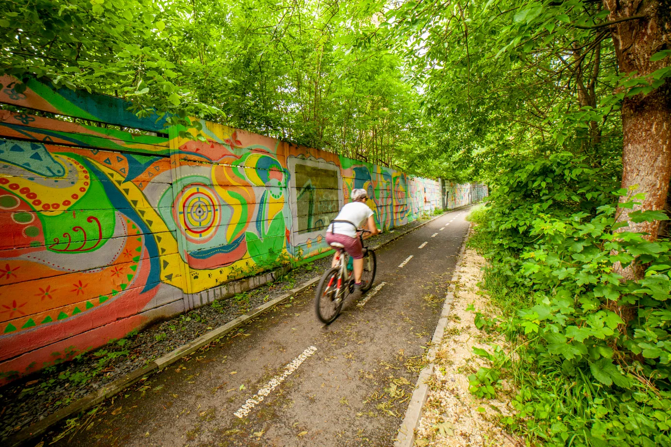 Na kole na Hrad Brumov