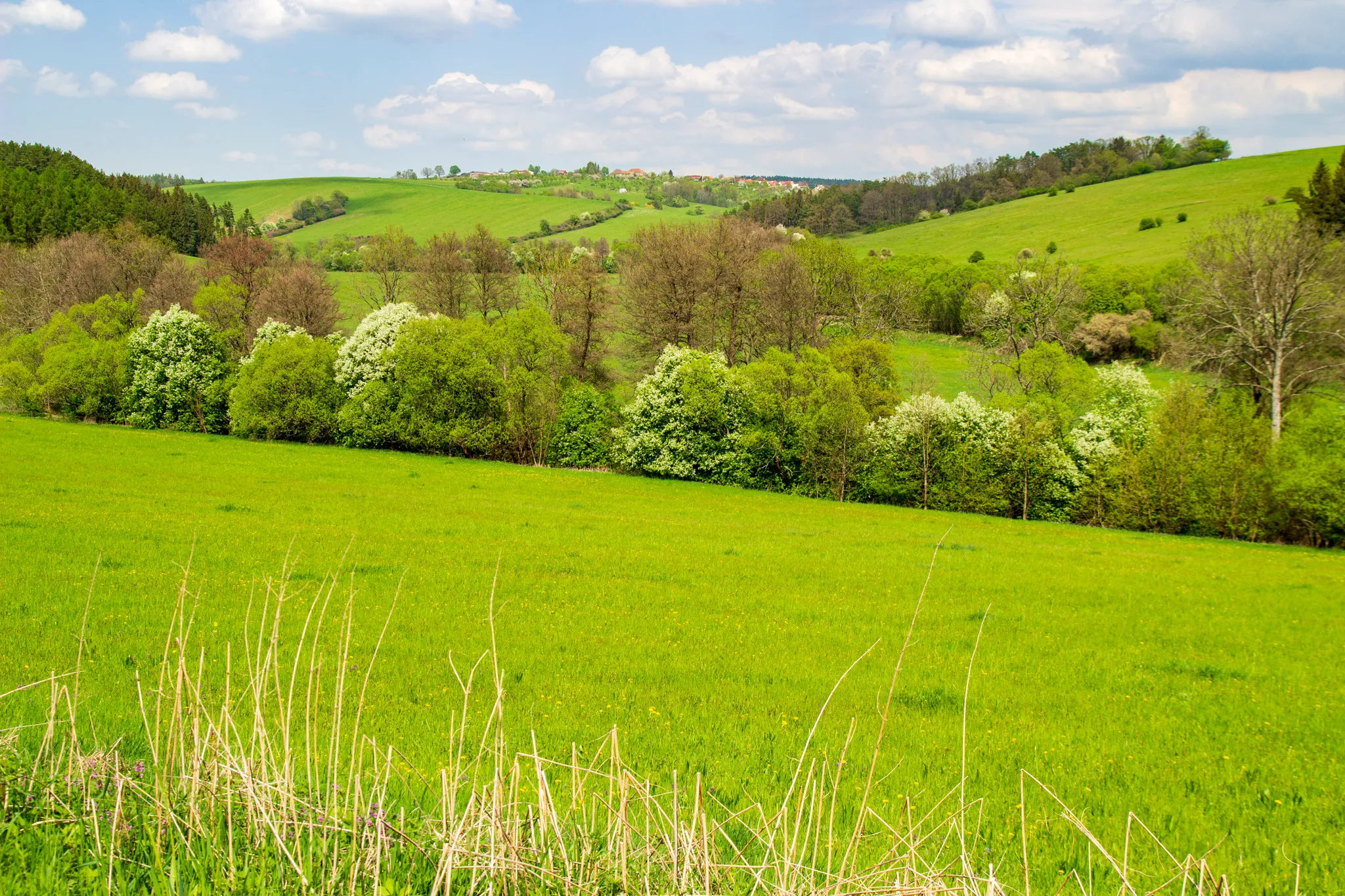 Na kole dnem budoucí přehrady